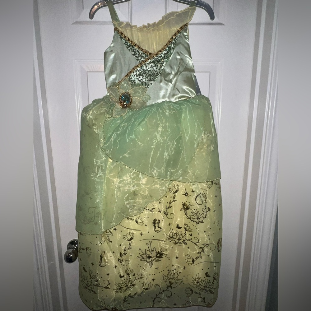 Disney Princess Tiana Green and Gold Dress